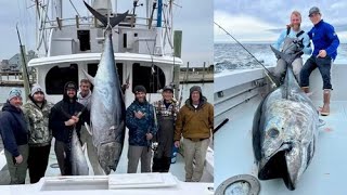 578LB Trophy Bluefin On Spinning Tackle