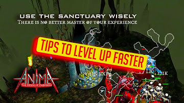Anima ARPG - Use the EXPERIENCE SANCTUARY WISELY (tips on how to level up faster)
