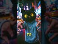 Black Cat Rules: Rule #3 🐈‍⬛⛈️ what breaks you makes you dangerous #motivational #sadtrap #hiphop