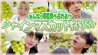 【シャインマスカット狩り😆】みんなで300粒食べられる!?企画のハズが...お腹がいっぱいすぎたSP✨