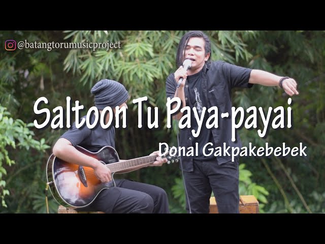 Saltoon Tu Paya-payai - @donalgakpakebebek & @erwandasiregar Versi Akustik class=