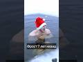 Кого зовем в «Проверку на Фрост»? #shorts #frost #фрост #моржевание #ice