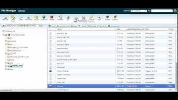 Change Wordpress Background with CSS in Cpanel File Manager