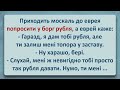 💠 Москаль Прийшов до Еврея у Борг просити! Українські Анекдоти! Анекдоти Українською! Епізод #250