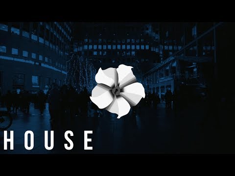 AUSMAX - Syndicate