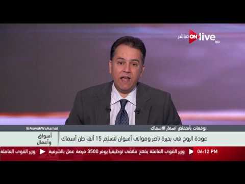 أسواق و أعمال عودة الروح في بحيرة ناصر ومواني أسوان تتسلم 15 ألف طن أسماك