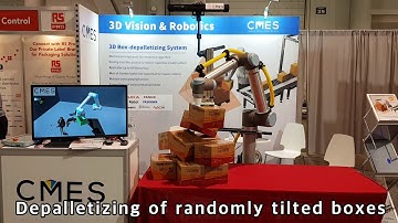 [Pack Expo 2019]Random Robotic Depalletizing System Using 3D-Vision