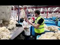 27 MILLION KGS OF WOOL  |  My Tour of Wool House, Bradford