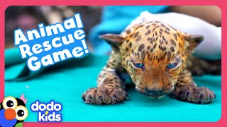 Can YOU Help These Animal Moms Rescue Their Babies? | Dodo Kids | Story Game