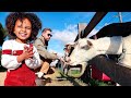 Zoe’s First Trip To The Farm