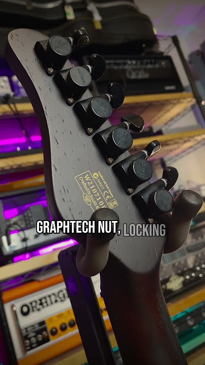 SCHECTER IS INSANE...