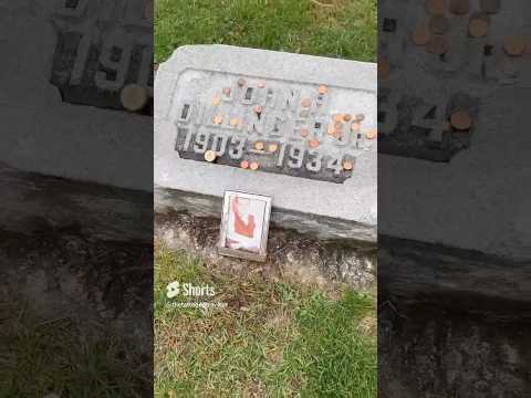 The Grave Of Gangster John Dillinger Shorts Johndillinger