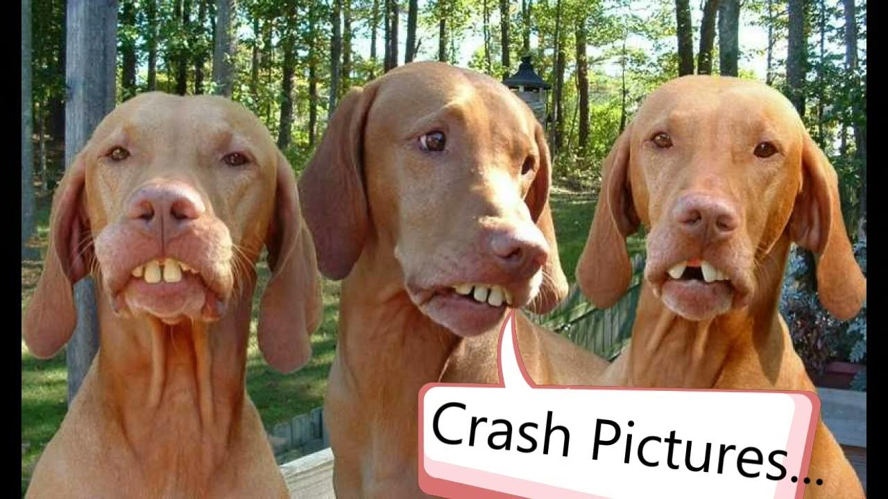 "The Crash," Explained YouTube