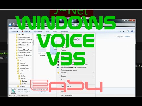 Windows VBS Voice Script Examples