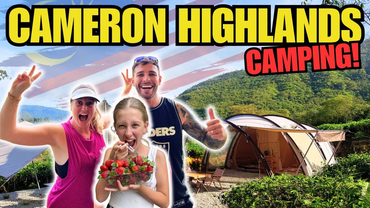 Семейный автотур по Великобритании и кемпинг в горах Кэмерон в Малайзии | Пешие прогулки и семейн...