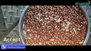 How Peanut Color Sorter Machine Works || Carter Unique Group