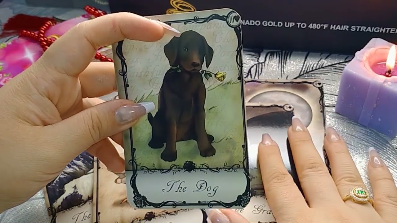 برج العقرب تم تفعيل شخصيتك الجديده وعوده لحب وهديه من حبيبك 