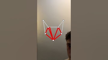 Has anyone done this one? #filters #filter #fyp #fazesway