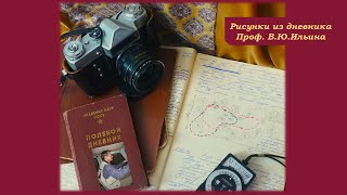 Рисунки из полевого дневника проф  В Ю Ильина