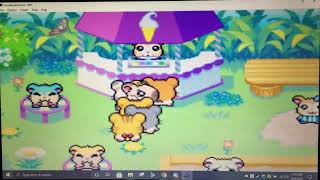A Colorful Scavenger Hunt. Let's Play Hamtaro, Rainbow Rescue. Episode 20