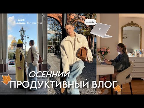 Видео: НЕ МЕЧТАЮ, А ДЕЛАЮ: учеба, работа над брендом, свадьба лучших друзей