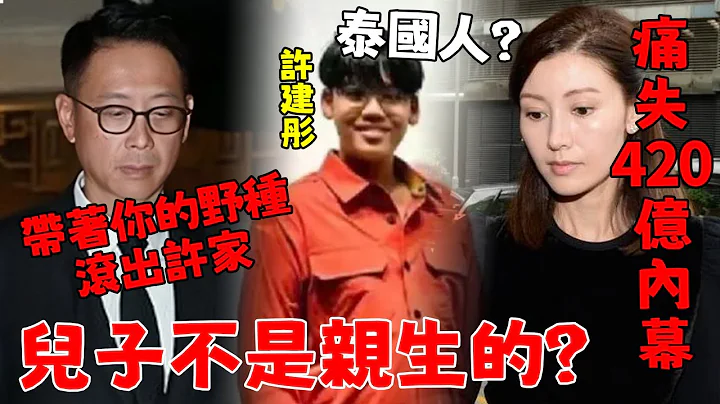 许晋亨儿子不是亲生的？ 夫妻二神仙颜值，儿子却长成灾难现场！ 李嘉欣12岁儿子真实身世曝光，难怪痛失420亿一声不吭！【三言两娱】 - 天天要闻