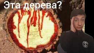 самые удивительные места в мире?