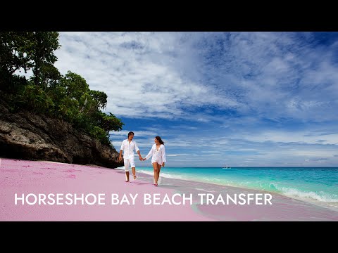 Horseshoe Bay Beach Transfer | Shore Excursion | NCL