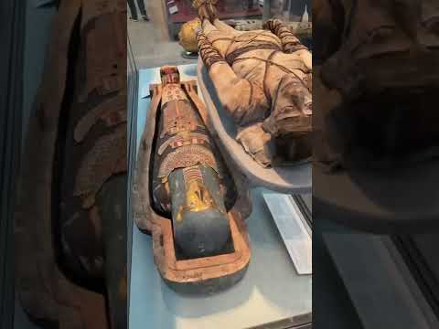 Video: Улуттук тарых музейи (Museu Historico Nacional) сүрөттөмөсү жана сүрөттөрү - Бразилия: Рио -де -Жанейро