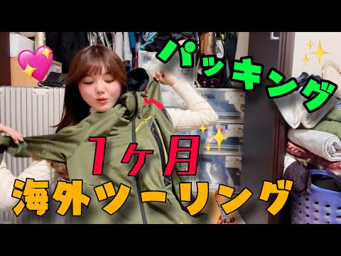 【命懸け】海外ツーリング前日なのに必要なものわからん