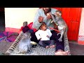       reaction  monkey funny viral  feeding monkeys