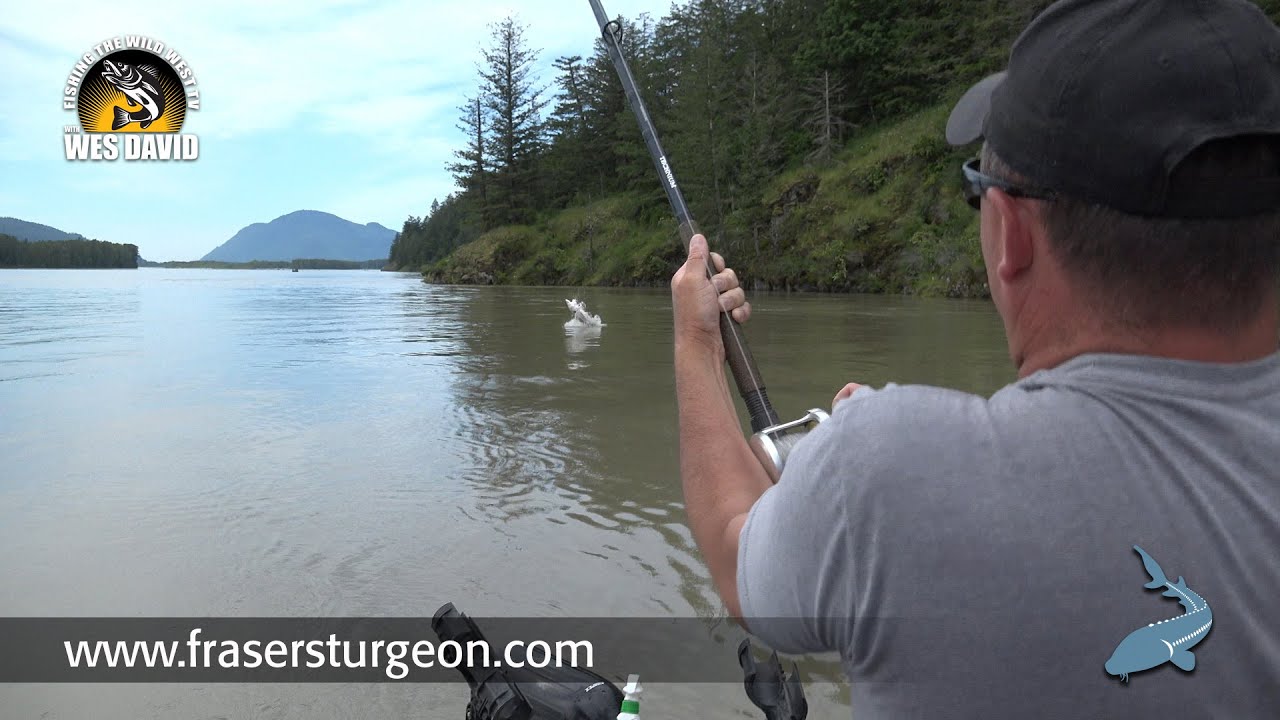 FTWWTV S05E01 - Fraser River Sturgeon