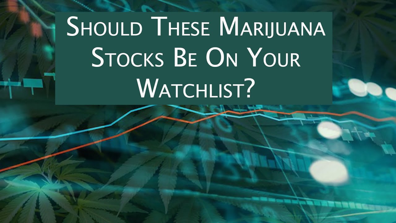 Should These Marijuana Stocks Be On Your Watchlist?