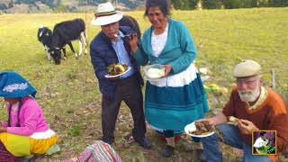 01 TRENTA LEGUAS COCECHA DE PAPA EN MACASHCA - HUARAZ - ÁNCASH