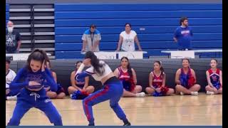 Freshmen Jump start 2025 - Fillies 