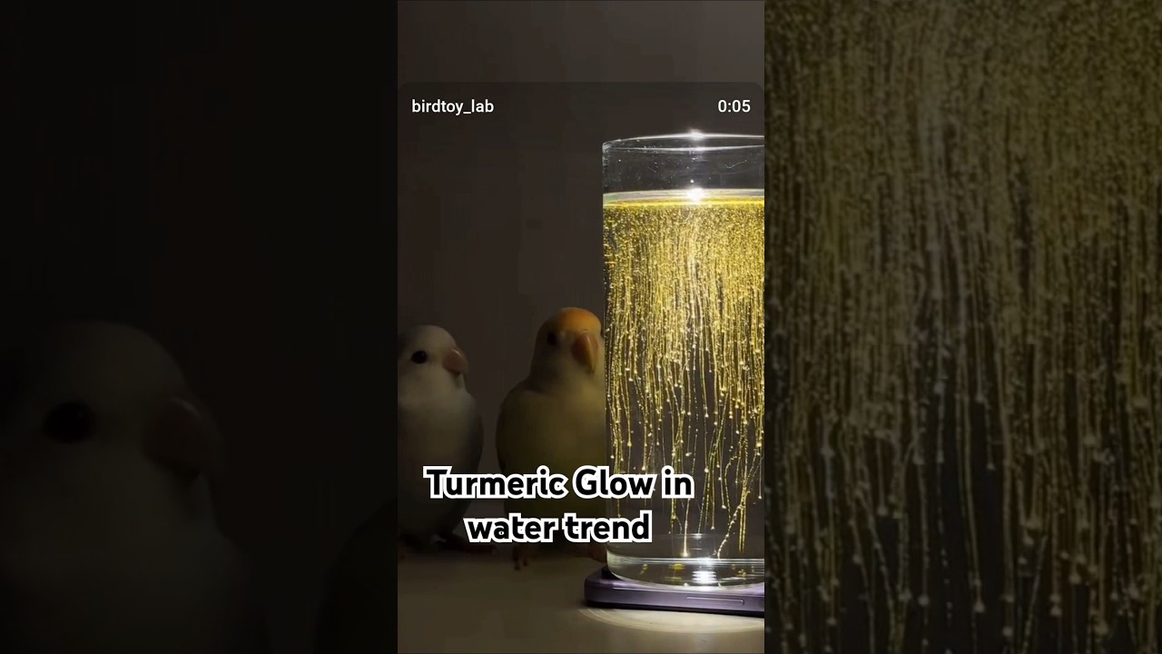 Turmeric Glow in water trend