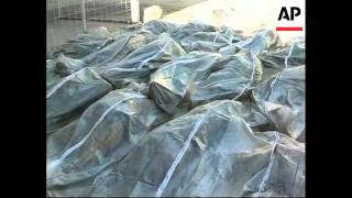 Police report finding of 75 bodies in Baqouba and Baghdad