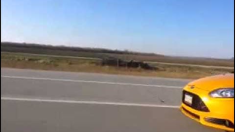 Cobalt SS Sedan vs Focus ST