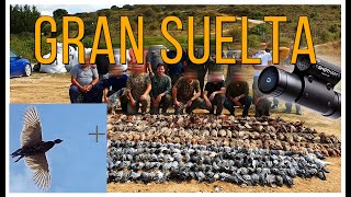 Caza de FAISANES, PERDICES, PALOMAS con SHOTKAM - Hunting Pheasants with SHOTKAM