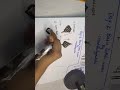 Day -2 Basic to advance henna course free #ytshorts #shorts