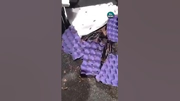 What interrupted this 