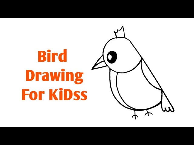 How to Draw a Bird – Wildsight