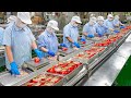 Canned Tuna Processing Plant! Tuna Omelet &amp; Burger Steak Making / 鮪魚罐頭量產工廠 - Taiwan Seafood Factory