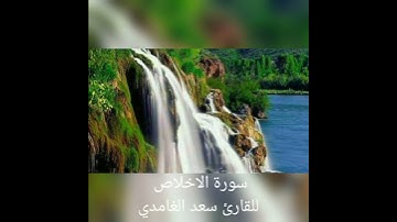 سورة الإخلاص /للقارئ سعد الغامدي❤