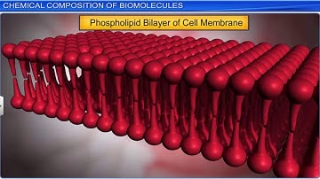 CBSE Class 11 Biology || Biomolecules  Part -1 || Full Chapter || By Shiksha House