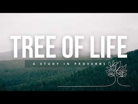 Proverbs 15