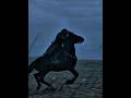 Jon Snow Fight with Ramsay Bolton #Game of thrones #Shortsvideos