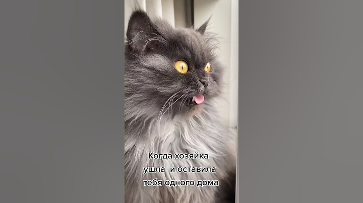 Где эта выдра?🤣🤣🤣