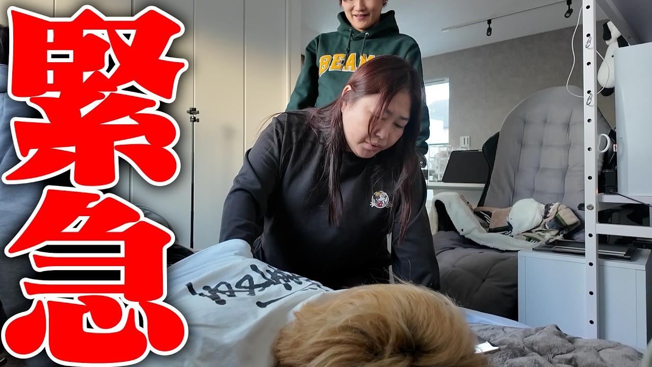 弟が倒れてました