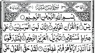 surah Yasin Yaseen🌹💗Rehman Al-Mulk Quls sharif Ayatul kursi surah Baqarah Hafiz farid morning Dua